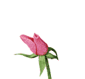 №38-500@